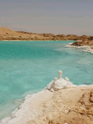 Serene Beauty of Siwa Salt Lake