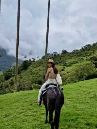 Horseback Through the Clouds: Cocora Valley’s Magical Wax Palms