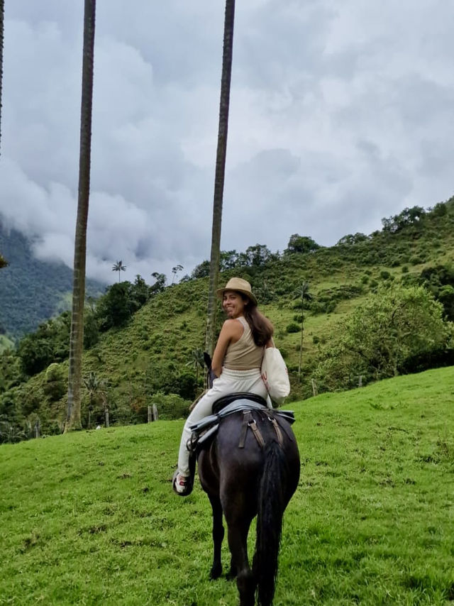 Horseback Through the Clouds: Cocora Valley’s Magical Wax Palms