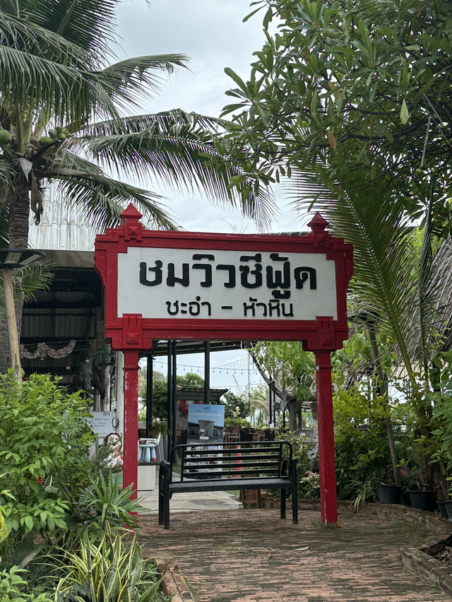 ชมวิวซีฟู้ด ชะอำ-หัวหิน ชมวิวซีฟู้ด ชะอำ-หัวหิน