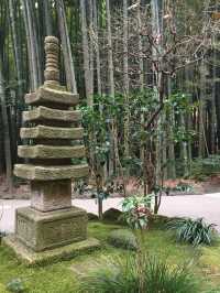 【鎌倉】絶景！マストで行きたい映える寺院と神社
