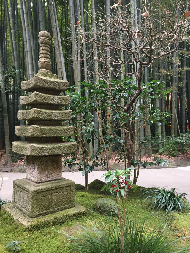 【鎌倉】絶景！マストで行きたい映える寺院と神社