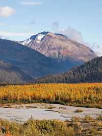 【阿拉斯加 Alaska｜北境荒野的極光與冰川詩篇】