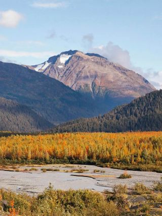 Alaska: Thơ ca về cực quang và sông băng ở vùng hoang dã phía Bắc