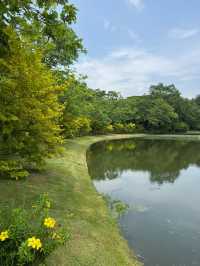 曼谷小眾寶藏公園｜詩麗吉公園散步好去處✨