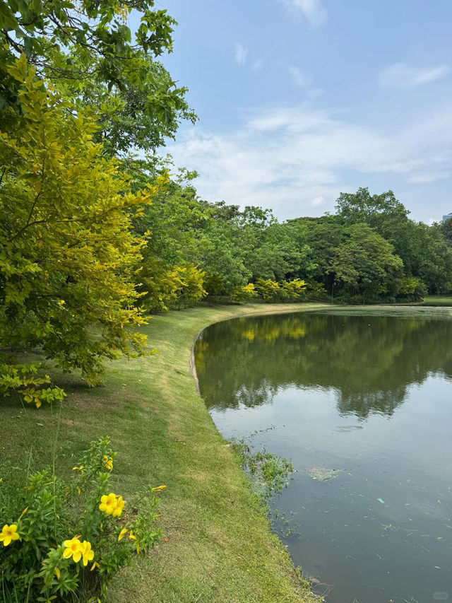曼谷小眾寶藏公園｜詩麗吉公園散步好去處✨