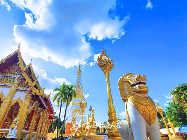 วัดพระธาตุพนมวรมหาวิหาร  นครพนม