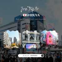 🌀 Shibuya – สัญลักษณ์ความคึกคักของคนรุ่นใหม่