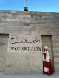 🌟 Crocodile Museum – Aswan, Egypt