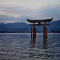 廣島海上奇景：嚴島神社的潮汐之美與歷史韻味