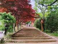 新倉富士浅間神社──忠靈塔下的富士絕景