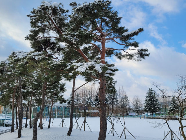 🌲 남원 여행가이드 ✨ 남원 만인의총