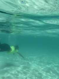 ดำน้ำตื้นเกาะช้าง