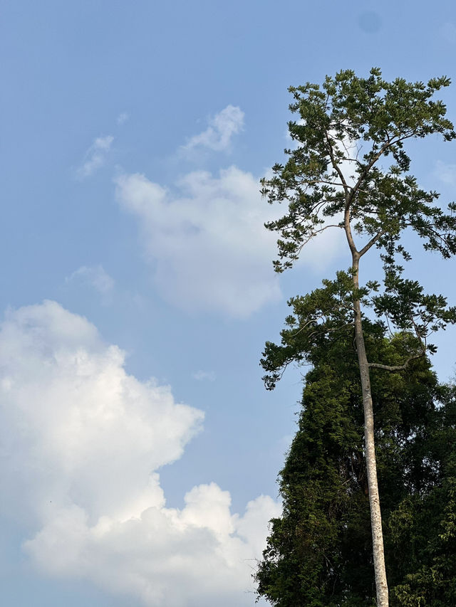 Unseen Thailand 
