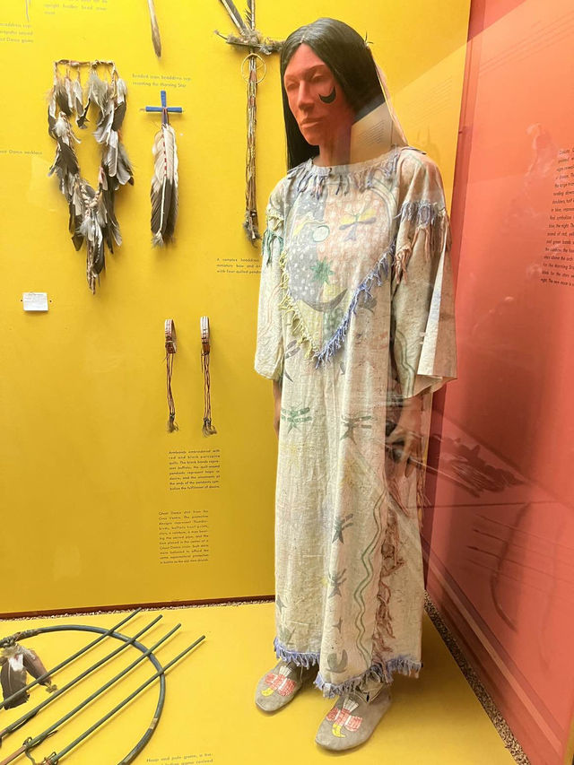 ［紐約旅行］紐約自然歷史科學博物館American Museum of Natural History🦴晚上會活起來的博物館