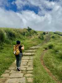 Escape to YangMingShan (QingTiangGang & LengShuiKeng) 🍃🌳