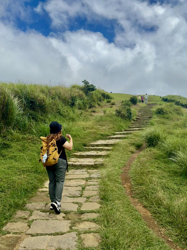 Escape to YangMingShan (QingTiangGang & LengShuiKeng) 🍃🌳