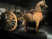 🏛 Chengdu Museum Visitor Guide