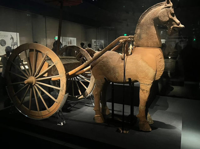 🏛 Chengdu Museum Visitor Guide