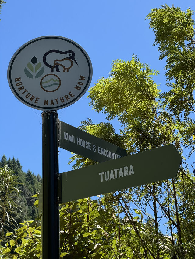 【クイーンズタウン】ニュージーランドの自然と出会える「キウィ・パーク・クイーンズタウン」🪺🌏