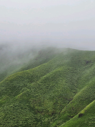 雲海景觀的絕美路線