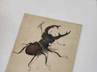 예술과 자연의 극적인 만남, Getty 센터에서 느낀 감동