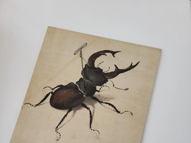 예술과 자연의 극적인 만남, Getty 센터에서 느낀 감동 예술과 자연의 극적인 만남, Getty 센터에서 느낀 감동