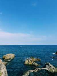 부산 기장 해동용궁사, 바다와 함께하는 특별한 하루