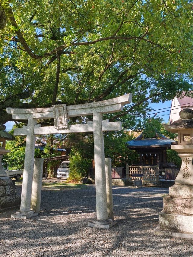 熊野古道中邊路徒步之旅 熊野古道中邊路徒步之旅