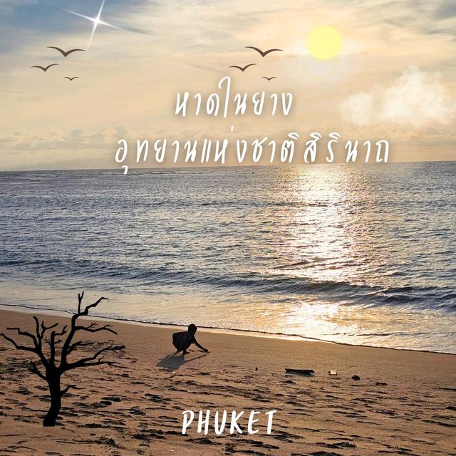 🌟หาดในยาง หาดสวยใกล้สนามบินภูเก็ต🌟