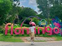 ํธ๊พธ์ฅ ๊ฐ์กฑ์ฌํ ์ถ์ฒ ํ๋ง ์ฝ์ค๐ด