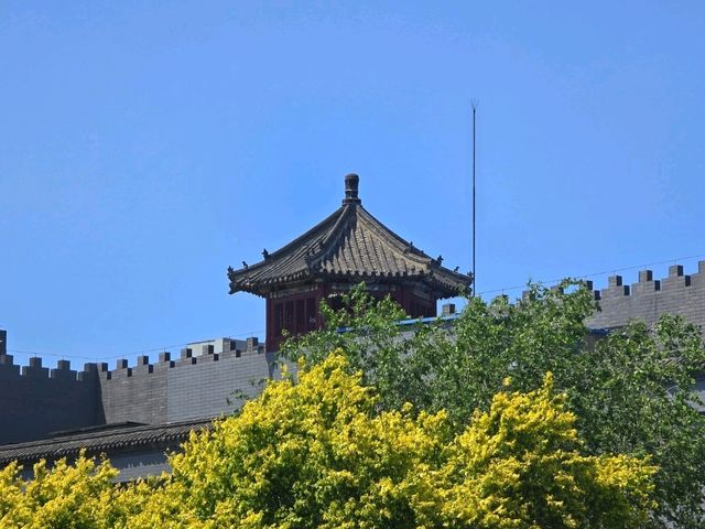 400년 황실의 길을 걷다, 유네스코 세계유산 '심양고궁'
