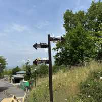 北海道旭川市旭山動物園