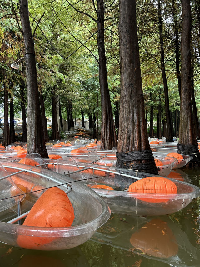 Kunming Wetlands🌧️  