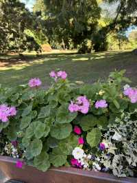 【ニュージーランド・クイーンズタウン】湖畔の自然と散策を楽しむ「Queenstown Gardens」🌿🌊