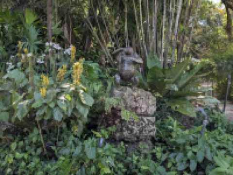 Fairchild Tropical Botanic Garden