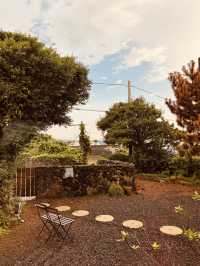 Excellent Value for Eastern Jeju Explorers