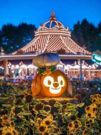 ! 🎃 ชุดฮาโลวีน - ฟักทอง  Seven Treasures ริมทะเล