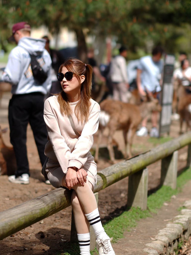 เลี้ยงกวางที่ 🦌 สวนสาธารณะนารา