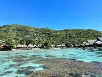 Tropical Bliss and Adventure on Moorea Island