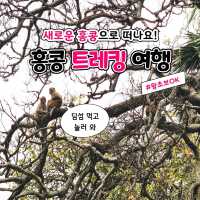 ์๋ก์ด ํ์ฝฉ์ผ๋ก ๋ ๋์! ํ์ฝฉ ํธ๋ ํน ์ฌํ ๐ญ๐ฐ