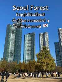 Seoul Forest ในวันที่ใบไม้เปลี่ยนสี