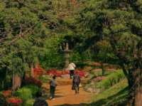 🕊️ Bongeunsa Temple – A Peaceful Escape in the Heart of Gangnam