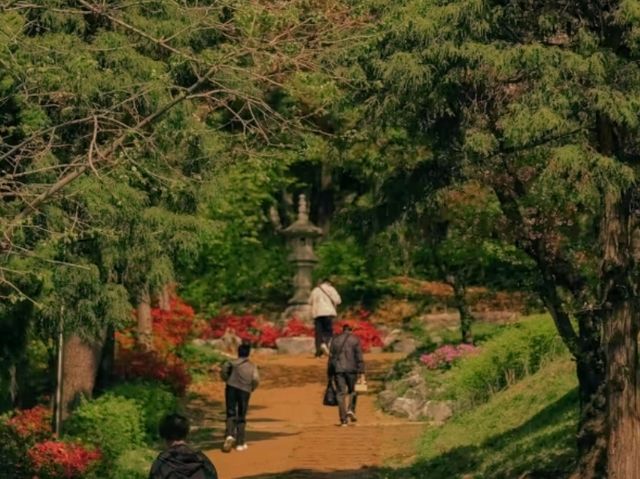 🕊️ Bongeunsa Temple – A Peaceful Escape in the Heart of Gangnam