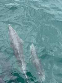 최고였던 시드니 여행