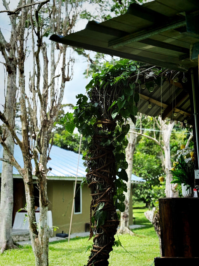 Cozy Kampung Eats🌿 Cozy Kampung Eats🌿