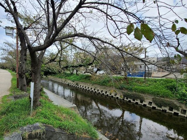 나고야 근교 1박2일 여행일정~!
