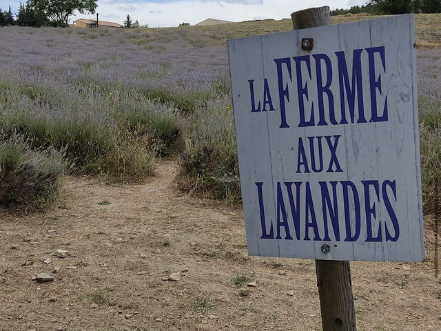 La Ferme aux Lavandes La Ferme aux Lavandes