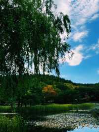 도심 속 자연에게 온전히 기대는 국내 여행 한 페이지