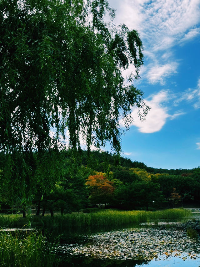 도심 속 자연에게 온전히 기대는 국내 여행 한 페이지